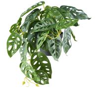 lot de 2 Monstera adansonii plante artificielle suspension 29 feuilles hauteur 24 cm vert en pot