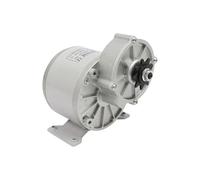 Lot de 2 moteurs à engrenages 350 W - Moteur électrique 36 V avec contrôleur - Moteur sans balais pour tricycle Go-Kart ATV 330 tr/min 11,6 Nm Couple élevé IP33