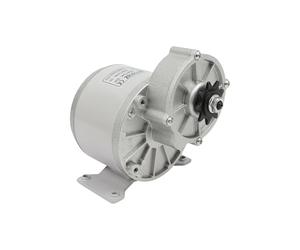Lot de 2 moteurs à engrenages 350 W - Moteur électrique 36 V avec contrôleur - Moteur sans balais pour tricycle Go-Kart ATV 330 tr/min 11,6 Nm Couple élevé IP33