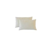 - Lot de 2 oreillers 30x50 cm ALOE VERA - Mémoire de forme