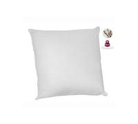 Lot De 2 Oreillers - 60 X 60 Cm - 100% Coton Bio -