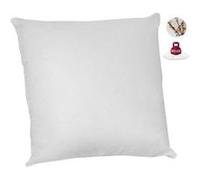 Abeil Lot de 2 oreillers anti-acariens - 60 x 60 cm - 100% coton bio - Blanc