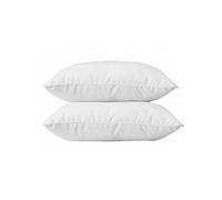 Lot de 2 oreillers 60 x 60 cm Blanrêve Gamme Microfibre Douceur traité Anti Acarien
