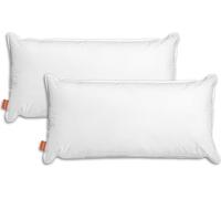 lot de 2 oreillers à eau 50 x 70 cm, oreiller orthopédique, 100% coton, blanc, sleepling