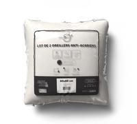 Intemporel Lot de 2 oreillers Anti-acarien 60x60 cm