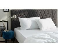 Lot de 2 oreillers Confort de Blanreve fabriqués en France : 60 x 60 cm