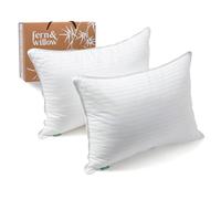 Lot de 2 oreillers de Couchage King Size, Alternative au Duvet de qualité supérieure, Ensemble d'oreillers de lit d'hôtel, Luxueux, Oreiller en Gel rafraîchissant en Peluche, hypoallergénique