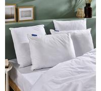 Lot De 2 Oreillers Fermes Et Respirants Blanc 50X70