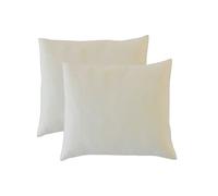 - Lot de 2 oreillers 60x60 cm ALOE VERA - Mémoire de forme