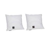 Lot de 2 oreillers JEAN LOUIS SHERRER mémoire de forme 60 x 60 cm SELENE