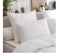 UNIVERSDECOR - Lot de 2 oreillers Maxiconfort Thermolite Ultra Dodo (Blanc, Lot de 2 oreillers Maxiconfort Dodo 50 x 70 cm)