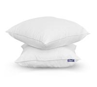 Lot de 2 Oreillers Moelleux - 60x60 cm - Microfibre Douce - Fabriqué en France - Colas Normand