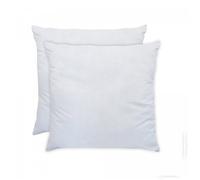 Lot de 2 Oreillers Moelleux Cliniguard Anti-acariens - 60x60cm - BLEU CALIN