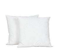 Lot de 2 oreillers Natura 65x65 cm Duvet & Plumess