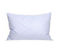 Lot de 2 oreillers plumes 50 x 70 cm ""DODO""