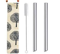 Lot de 2 pailles en acier inoxydable réutilisables extra larges de 12 mm pour thé aux mousses, smoothie, milkshake - Avec sac de transport et brosse de nettoyage - Pointe biseautée - Argenté