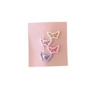 Lot de 2 paires de jolies pinces à cheveux en acrylique pour adolescentes, filles, étudiants, école, tous les jours, pas