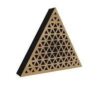 Lot de 2 panneaux acoustiques muraux | Panneaux insonorisants et décoratifs pour réduire l'écho | Traitement acoustique pour la maison et le studio | Couleur : [Chêne | TRIANGLE]