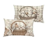 Lot de 2 Pâques Housse Coussin 60x80 cm Impermeable Velours Taie Oreiller Rectangulaire Double Face Imprimé avec Fermeture à Glissière Invisible, Lapin Coussin Décoration pour Canapé, Salon 1B-321