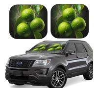 Lot de 2 pare-soleil pliables pour pare-brise de voiture Motif agrumes aigres