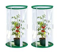 Lot de 2 petites serres de culture 52 x 28 cm pour papillons, cage en filet transparent, tente d'hivernage pour la culture de petits insectes, papillons et observation des plantes