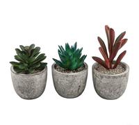 Lot de 2 petits pots de plantes succulentes décoratives d'intérieur en PVC souple pour espaces de vie contemporains