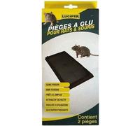 Piège à glue pour Souris et rats - Lot de 2 Pièges.