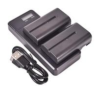 Lot de 2 piles de rechange DSTE NP-F550, NP-F330, NP-F530, NP-F570 + charge rapide Dual LCD Chargeur compatible avec Sony CCD-RV100, CCD-RV200, CCD-SC5, CCD-SC5/E, CCD-SC55E, CCD-SC55, CCD-SC6, 2 Pack