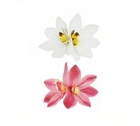 Lot de 2 pinces à fleurs rouges et blanches pour femme - Accessoires tropicaux mignons pour fête sur la plage, anniversaire, mariage