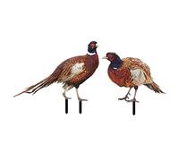 Lot de 2 piquets de faisans décoratifs en acrylique pour cour et patio - Statue d'animal - Sculpture d'extérieur et sculptures en acrylique pour cour et patio