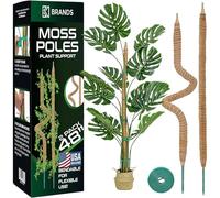 Lot de 2 piquets en mousse de 116 cm pour plantes grimpantes - Poteau en mousse pliable pour plantes Monstera et plante à fromage - Poteaux en mousse pour plantes grimpantes - Supports de plantes pour