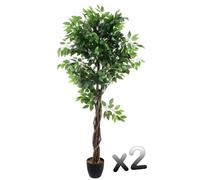 Lot de 2 plantes artificielles Ficus Pot, Hauteur 180 cm --