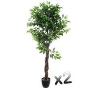 Lot de 2 plantes artificielles Ficus Pot, Hauteur 180 cm --