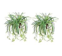 Lot de 2 plantes grimpantes, fausses fougères artificielles à suspendre au mur ou à l'extérieur