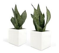 Lot de 2 pots carrés en céramique pour intérieur, blancs, pour plantes succulentes, fleurs, bonsaï, cactus, décoration maison, bureau, table, bureau, (M - 10 x 10 cm)