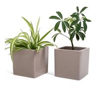 Lot de 2 Pots carrés en céramique pour intérieur, Gris Tourterelle, pour Plantes succulentes, Fleurs, bonsaï, Cactus, décoration Maison, Bureau, Table, Bureau, (M - 10x10cm Gris Tourterelle)