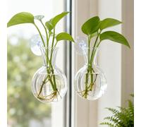 Lot de 2 pots de fleurs oblats à suspendre au mur pour plantes hydroponiques, salle de bain, maison, bureau, salon