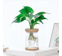 Lot de 2 pots de fleurs transparents en PET pour petites plantes, design perméable à la lumière, base de rétention d'eau, résistant, adapté à l'intérieur, non, pas de déformation