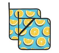 Lot de 2 Pots isolés carrés avec Image de Quartiers de Citron, Tapis de Cuisine résistants à la Chaleur, Anti-brûlure et Isolation Thermique, 8 x 8 po