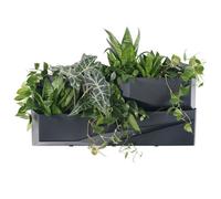 Lot de 2 pots rectangulaires en cascade végétale 35cm anthracite