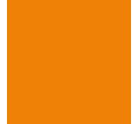 Lot de 2 Ramettes de 250 feuilles papier couleur TROPHEE 160 grammes format A4 clémentine G