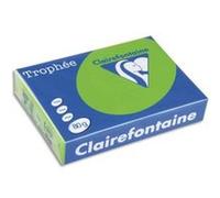 Lot de 2 Ramettes de 250 feuilles papier couleur TROPHEE 160 grammes format A4 ivoire G