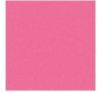 Lot de 2 Ramettes de 250 feuilles papier couleur TROPHEE 160 grammes format A4 lilas G