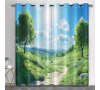 Lot de 2 rideaux occultants thermiques pour salon, paysage naturel, motif chemin de colline, rideaux thermiques pour chambre de garçons et filles, 117,1 x 137,9 cm