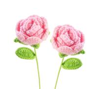Lot de 2 roses au crochet, cadeaux positifs, roses crochetées créatives, adaptées à toutes les scènes et comme une bonne possibilité de faire un cadeau à l'autre