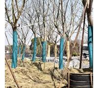 Lot de 2 rouleaux de protection pour arbre de jardin, protection contre les écorces respirantes, pour temps froid et dissuasion des animaux, rouleau de 16 m (D)