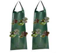 Lot de 2 sacs de culture verticaux à suspendre pour fraises, tomates, poivrons et herbes offrant un drainage efficace et une répartition efficace de la lumière du soleil (A)