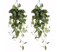 Lot de 2 - Scindapsus Pictus - Silvervine - Plante suspendue - H. 20-25 cm - P. 15 cm