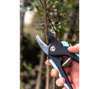 Lot de 2 sécateurs : lame franche, lame enclume - SUAN