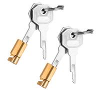 Lot de 2 serrures à douille avec clé pour ceinture de chasteté, portes de casier en bronze